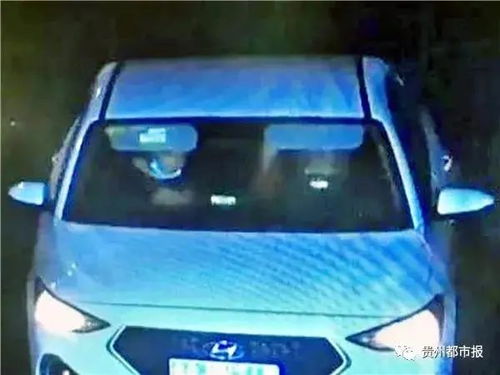 安顺到遵义汽车多少钱 安顺到遵义汽车多少钱