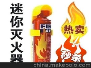 汽车的灭火器多少钱 汽车的灭火器多少钱