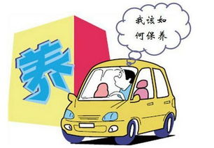 西城学汽车保养多少钱