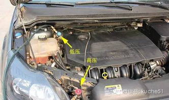 汽车加氟能加多少 汽车加氟能加多少