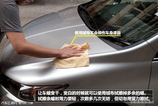 汽车局部打蜡多少钱