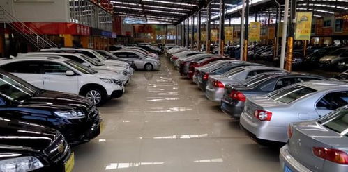 蔚县安泰多少辆汽车 蔚县安泰多少辆汽车