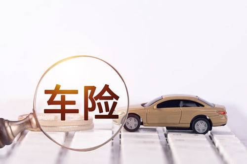 汽车集体保险多少钱 汽车集体保险多少钱