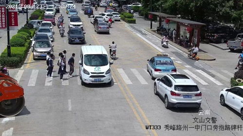 汽车撞了人担多少责任 汽车撞了人担多少责任