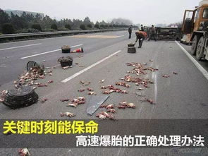 汽车高速后轮压力多少 汽车高速后轮压力多少