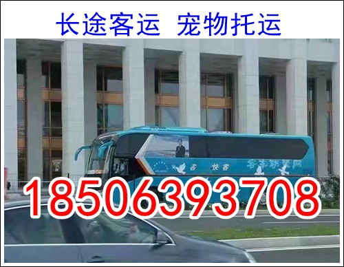 中山到东莞汽车多少钱 中山到东莞汽车多少钱