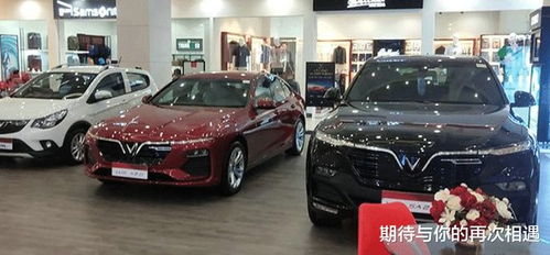 越南车有多少品牌汽车 越南车有多少品牌汽车