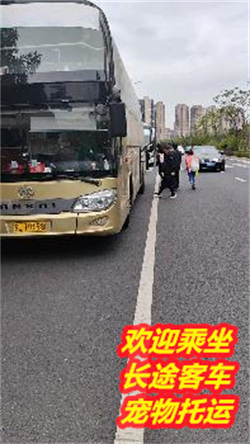 罗甸到凯里汽车多少趟