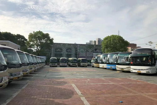冀州到隆尧多少钱汽车