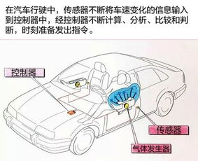 汽车安全带成本多少