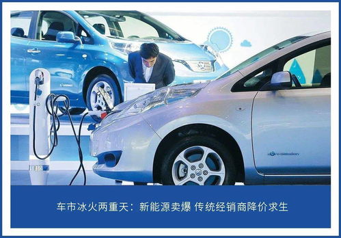 小型汽车强制险多少钱