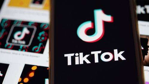 外交部回应涉TikTok问题