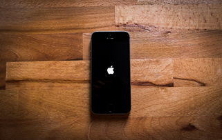 美高官:百万美国人将拧螺丝造iPhone