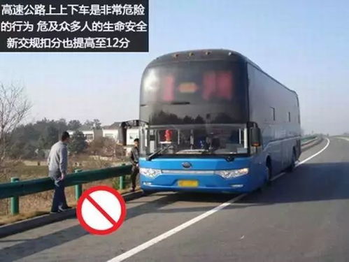 阜阳到西平汽车多少公里