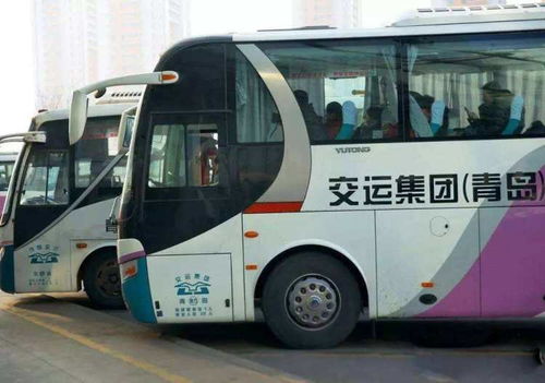 利津路汽车站有多少班车(利津路汽车站的班车运营概况) 利津路汽车站有多少班车(利津路汽车站的班车运营概况)