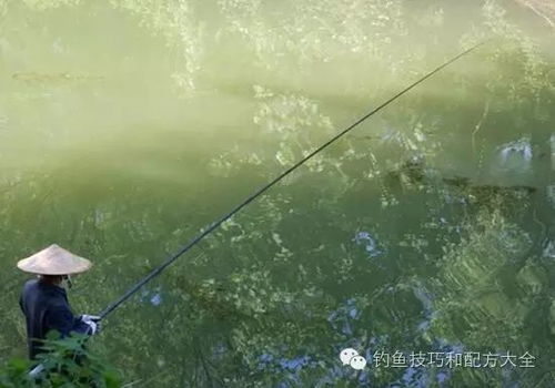 乌鲁木齐汽车称重多少(乌鲁木齐汽车称重，从基础到应用的重要性)