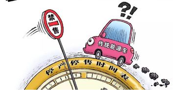 汽车燃烧多少(汽车燃烧多少,燃油效率与环保之间的博弈) 汽车燃烧多少(汽车燃烧多少,燃油效率与环保之间的博弈)