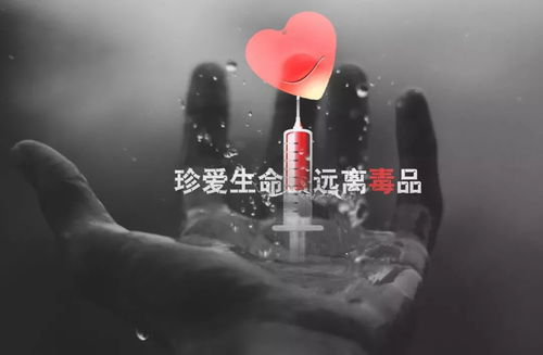 女生喝完酒第二天全身疼调监控傻眼(女生酒后的意外，监控揭示全身疼痛之谜)