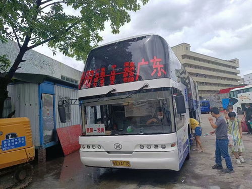 龙东汽车站多少点开门啊(龙东汽车站的开门时间,探寻细节与准备出行) 龙东汽车站多少点开门啊(龙东汽车站的开门时间,探寻细节与准备出行)