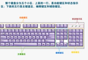 华为电脑专用键盘套装怎么用(华为电脑专用键盘套装使用指南)