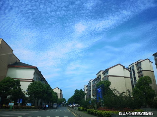 龙华至葵涌汽车站多少钱(关于龙华至葵涌汽车站的交通费用解析) 龙华至葵涌汽车站多少钱(关于龙华至葵涌汽车站的交通费用解析)