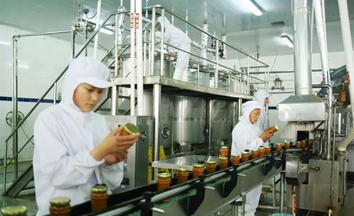 森之国度华为电脑怎么玩(森之国度华为电脑游戏攻略,如何畅享华为电脑的游戏体验) 森之国度华为电脑怎么玩(森之国度华为电脑游戏攻略,如何畅享华为电脑的游戏体验)