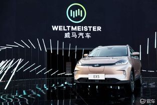一辆汽车需要加多少汽油(探究一辆汽车所需汽油量之谜)