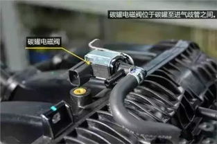 小汽车能装多少升的油啊(小汽车油箱容量与燃油装载量探究)