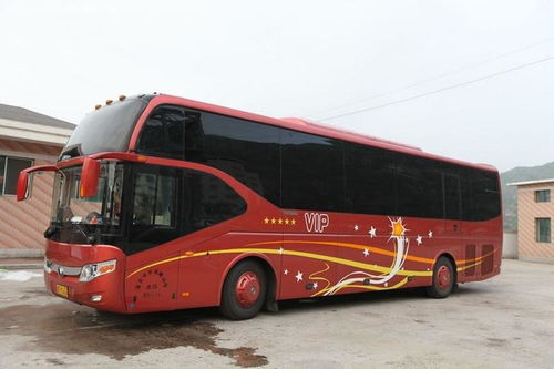 庐江到慈溪汽车票多少钱(庐江到慈溪汽车票价查询，费用、时间与路线详解)