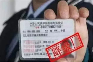 祁东到重庆汽车票多少钱(祁东到重庆汽车票价详解) 祁东到重庆汽车票多少钱(祁东到重庆汽车票价详解)