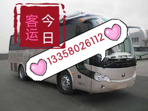 大竹到广安汽车票多少钱(大竹到广安汽车票价详解，费用、路线与乘车建议)