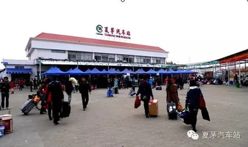 广州大学汽车站电话多少(广州大学汽车站电话及出行指南)