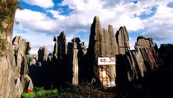 石林到江川汽车票多少钱(石林到江川汽车票价详解) 石林到江川汽车票多少钱(石林到江川汽车票价详解)