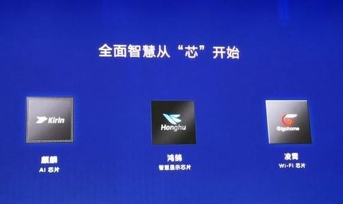 华为怎么防黑客攻击电脑(华为如何有效防止黑客攻击电脑) 华为怎么防黑客攻击电脑(华为如何有效防止黑客攻击电脑)