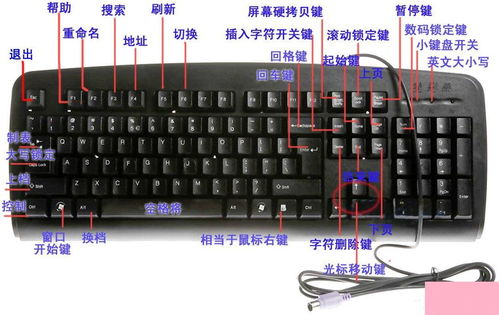 华为电脑小键盘怎么开(华为电脑小键盘开启指南) 华为电脑小键盘怎么开(华为电脑小键盘开启指南)