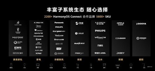 华为怎么跟电脑互通网络(华为与电脑互通网络,连接技术与未来的桥梁) 华为怎么跟电脑互通网络(华为与电脑互通网络,连接技术与未来的桥梁)