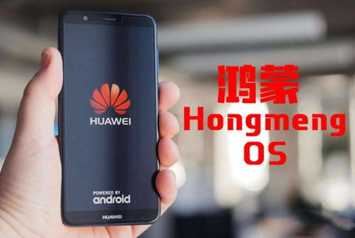 华为电脑怎么取消功能键(华为电脑功能键取消操作指南) 华为电脑怎么取消功能键(华为电脑功能键取消操作指南)