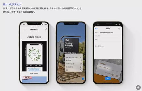 华为手机文本怎么筛选