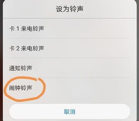 华为手机怎么装歌 华为手机怎么装歌