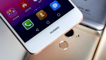 华为手机怎么下载尊者