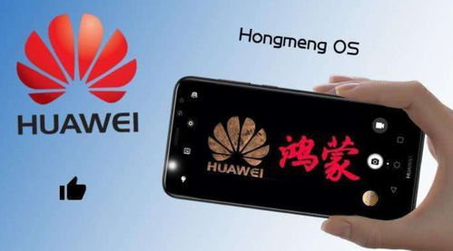 华为手机系统怎么分级 华为手机系统怎么分级
