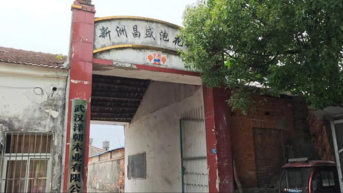 世界杯伊朗队训练场旁发现腐尸 世界杯伊朗队训练场旁发现腐尸