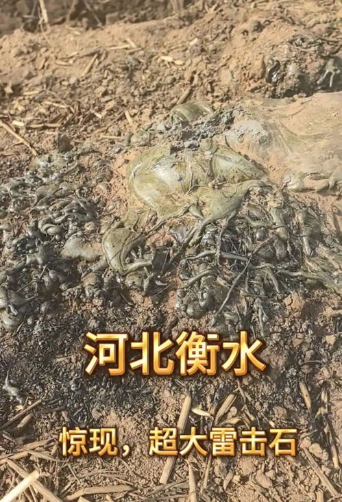 美极限运动员刘易斯因跳伞事故身亡
