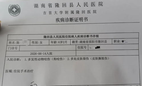 湖南多人连续4小时遭同一只狗咬伤 湖南多人连续4小时遭同一只狗咬伤