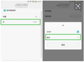 华为手机怎么设置域名