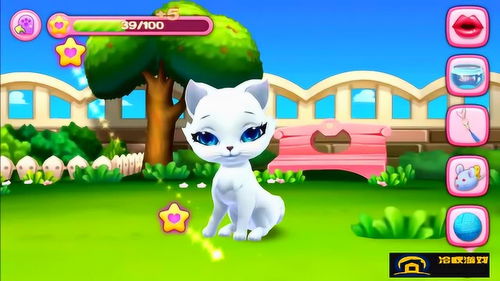 简易攻略游戏 VS 小猫游戏橘猫游戏攻略 简易攻略游戏 VS 小猫游戏橘猫游戏攻略