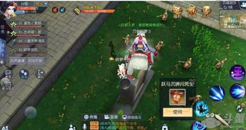 武林外传游戏的游戏攻略 VS perer游戏攻略 武林外传游戏的游戏攻略 VS perer游戏攻略