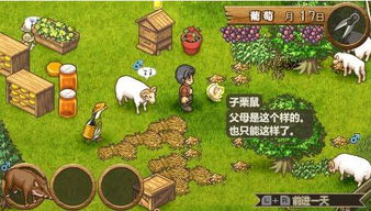 黑山攻略游戏 VS 红色绵羊游戏攻略 黑山攻略游戏 VS 红色绵羊游戏攻略