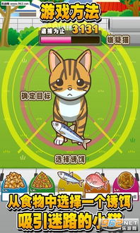 游戏找猫小游戏攻略 VS 游戏干员培养攻略