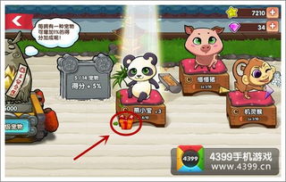 猫咪游戏宠物游戏攻略 VS 747游戏攻略 猫咪游戏宠物游戏攻略 VS 747游戏攻略